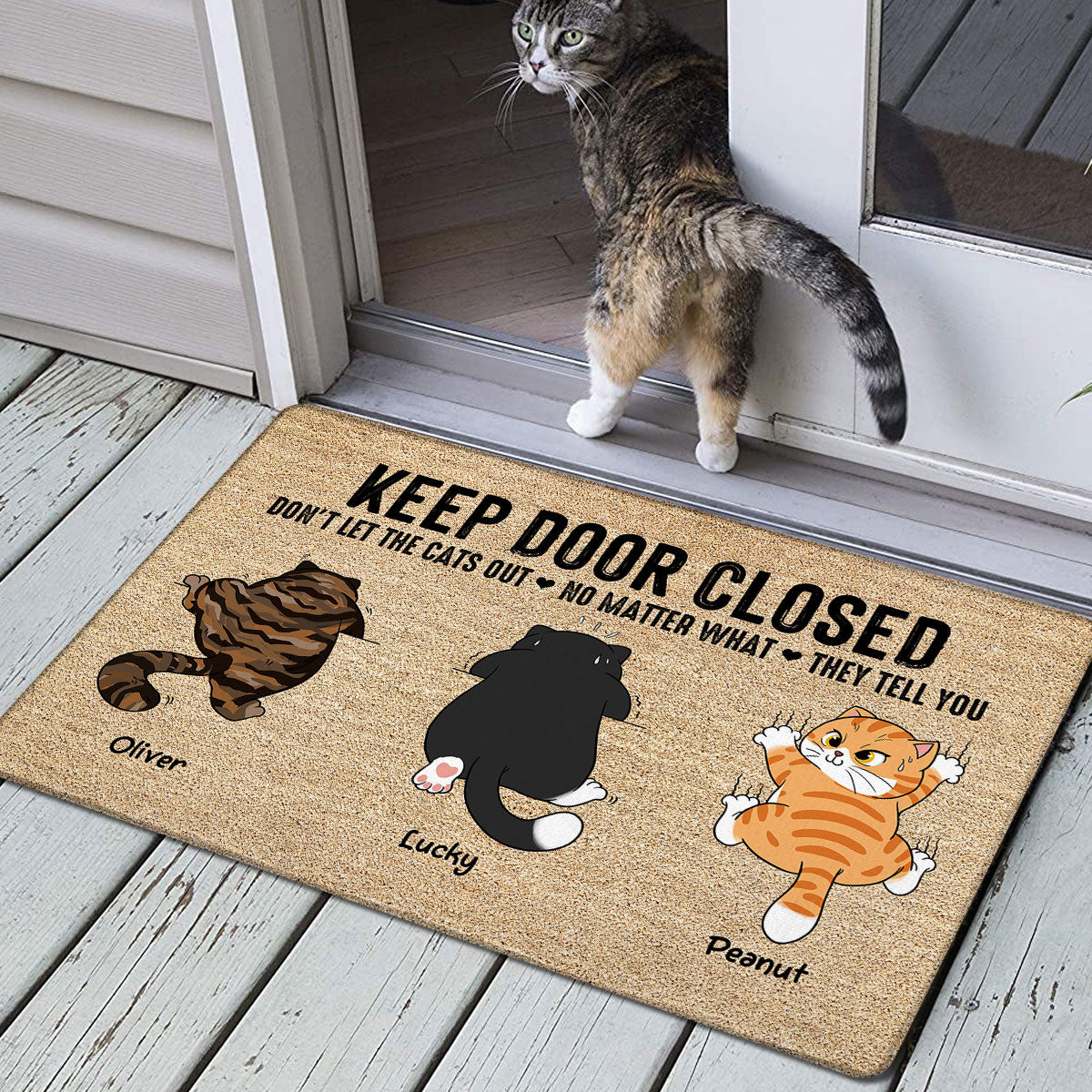 Don't Let The Cats Out Naughty Cats Personalized Doormat