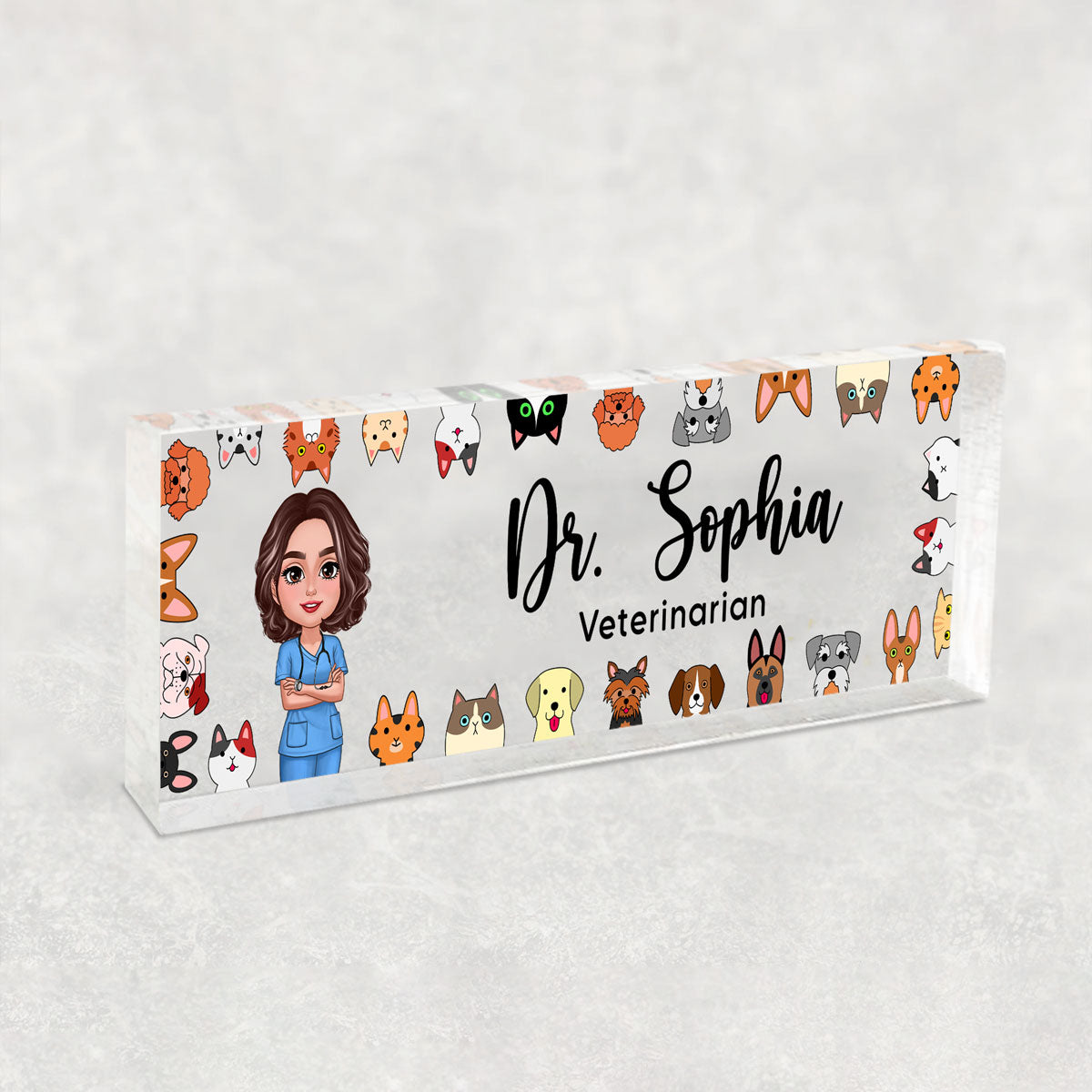 Dog Cat Veterinarian Personalized Acrylic Desk Name Plate, Christmas Gift For Vet