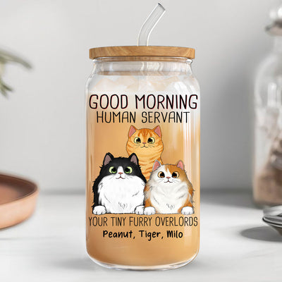 Good Morning Cat Human Servant Funny Gift For Cat Lovers Personalized Clear Glass Can