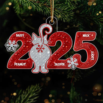 3D Shining Effect Christmas Cat Custom Names - Personalized Acrylic Ornament - Gift For Cat Lovers