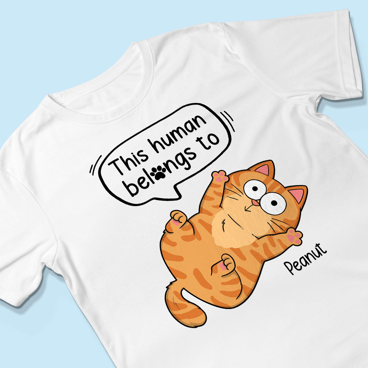 This Human Belongs To Naughty Cats Personalized Shirt