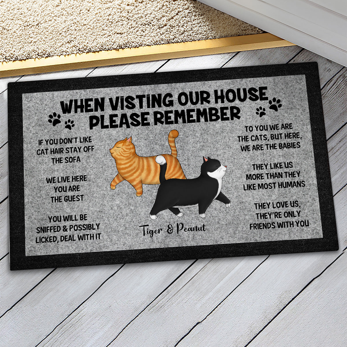 Please Remember When Visiting Cat House, Funny Cat Lover Rug Doormat