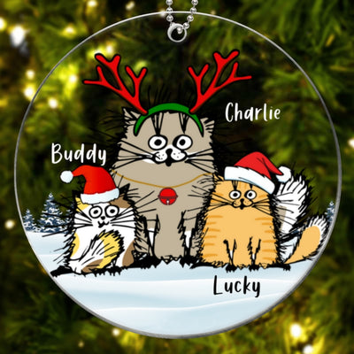 Funny Cats Personalized Christmas Acrylic Ornament