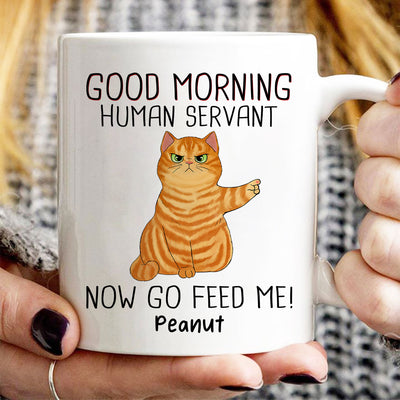 Happy Father‘s Day Good Morning Now Go Feed Me Grumpy Fluffy Cat Personalized Mug