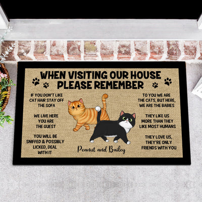 Please Remember When Visiting Cats House Home Decor Gift For Cat Lover Personalized Doormat