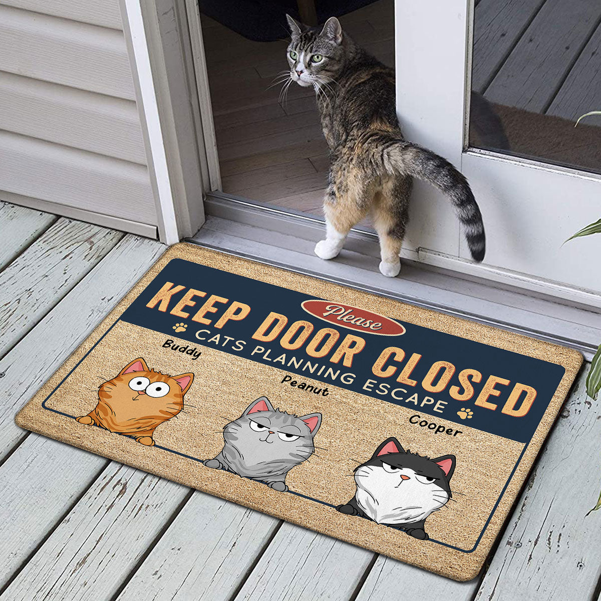 Keep Door Closed Cats Planning Escape Funny Cats Expression Personalized Doormat