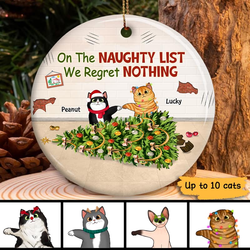 Naughty Cats Double Trouble Regret Nothing Personalized Circle Ornament