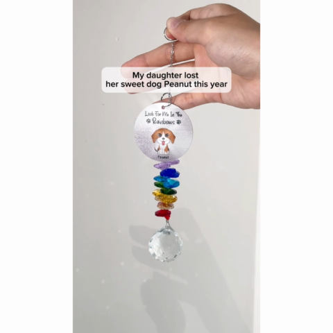 Dog Pet Memorial Look For Me In The Rainbows Personalized Crystal Suncatcher With Aluminum Charm