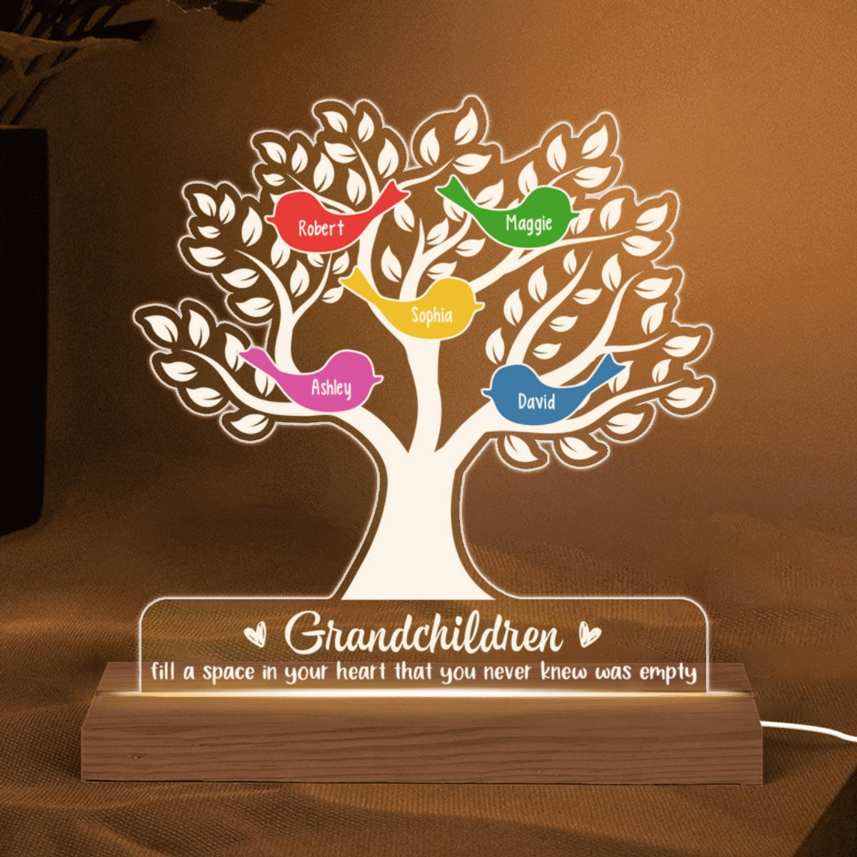 Grandchildren Fill A Space In Your Heart Grandma Mother‘s Day Gift Personalized Acrylic Custom Shape LED Lamp Night Light