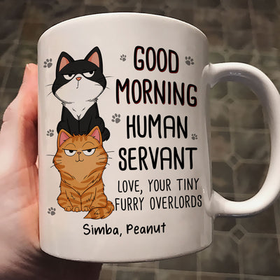 Good Morning Human Servant Stacked Cats Funny Gift For Cat Lover Personalized Mug