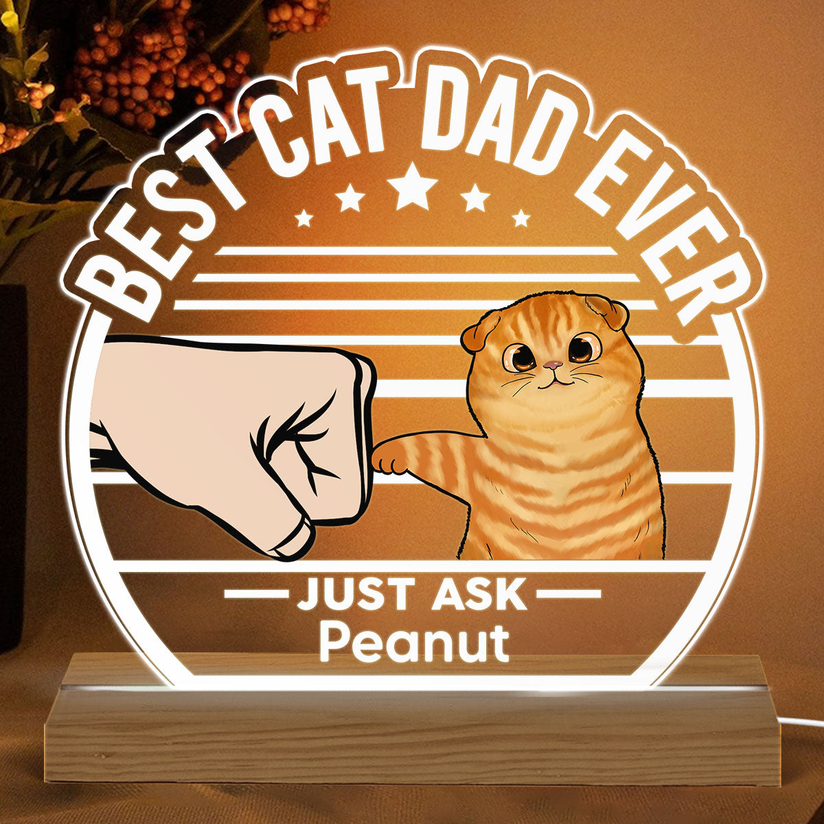 Best Cat Dad Ever Fluffy Cat Personalized Custom Shape LED Night Light