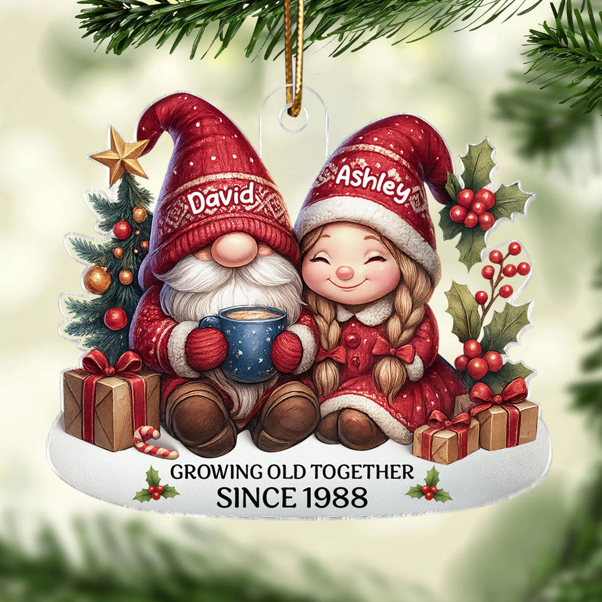 Gnome Couple Growing Old Together Personalized Acrylic Ornament, 3D Effect Ornament for Couples