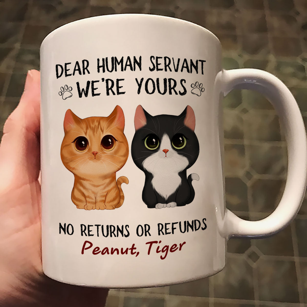 Dear Human Servant We‘re Yours Watercolor Cute Cat Personalized Mug