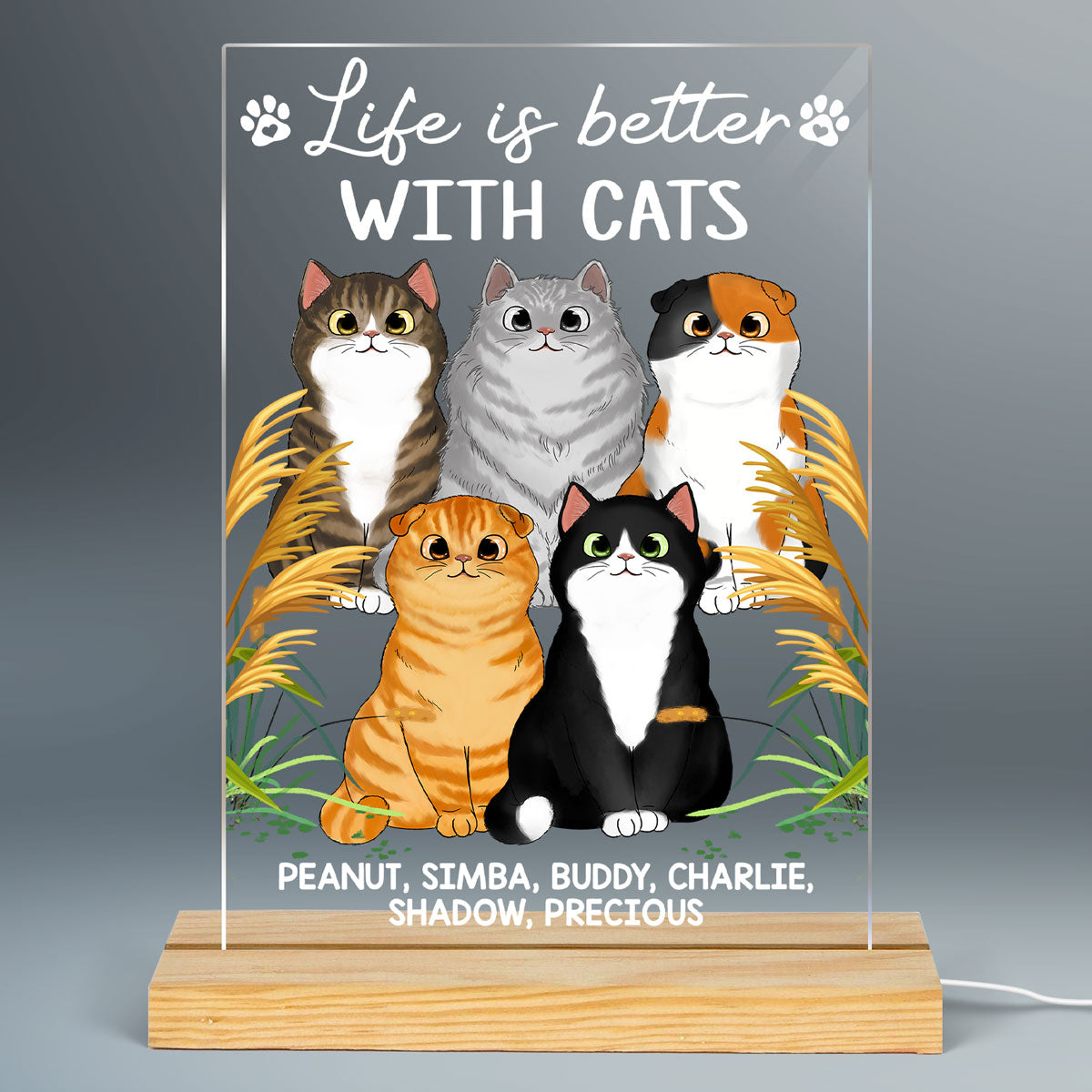 Life Is Better With Cats Cat Mom Personalized LED Night Light, Acrylic LED Lamp