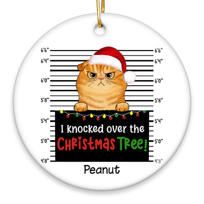 Guilty Cats Knocked Over Christmas Tree Personalized Circle Ornament