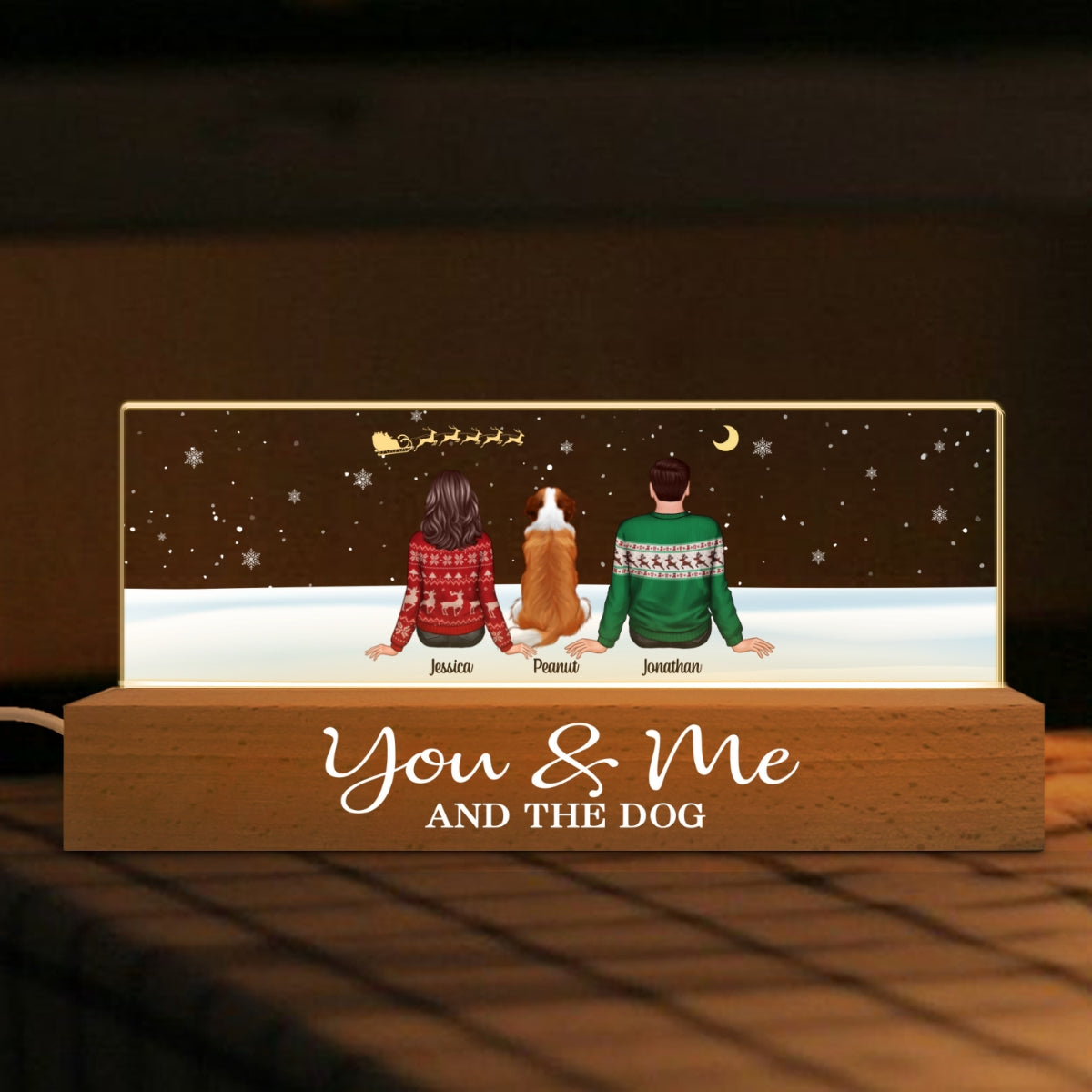 You Me And The Dogs Cats Sitting In Snow Personalized Acrylic Block LED Night Light, Christmas Decoration