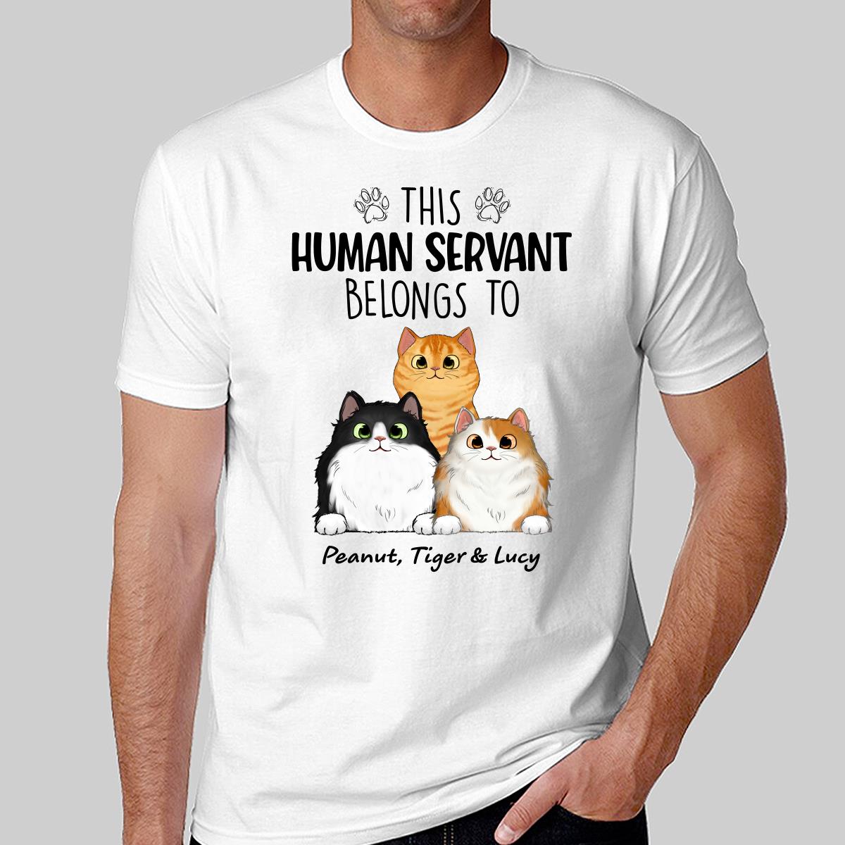 This Human Servants Belongs To Fluffy Cats Personalized Shirt