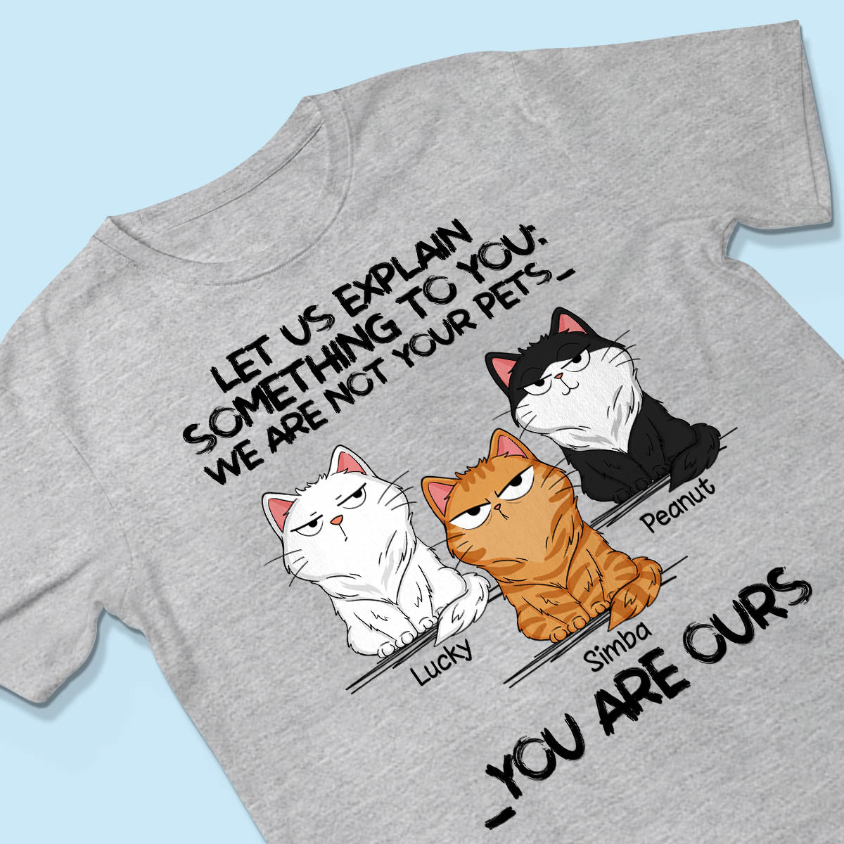 I‘m Not Your Pet Funny Expression Cat Personalized Shirt