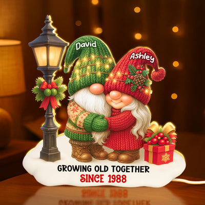 Gnome Christmas Couple Growing Old Together Personalized Light Box, Gift for him, for her