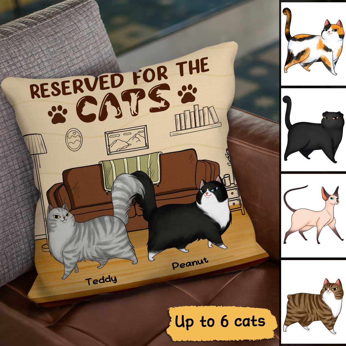 Reserved For The Cartoon Walking Cats Personalized Pillow