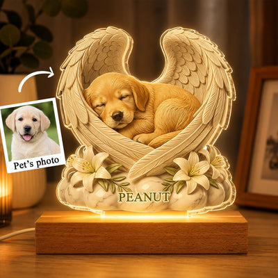 Custom Dog Cat Angel Wings Statue - Personalized Acrylic Block LED Night Light - Heartfelt Pet Memorial Gift