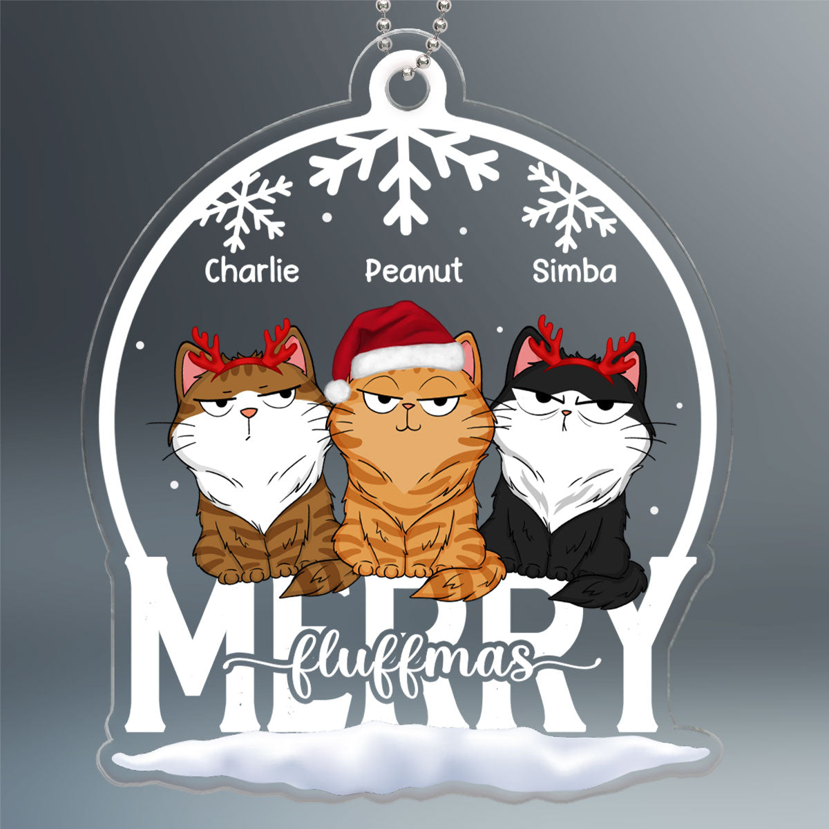 Cat Funny Expressions Christmas Snow Globe Personalized Acrylic Ornament