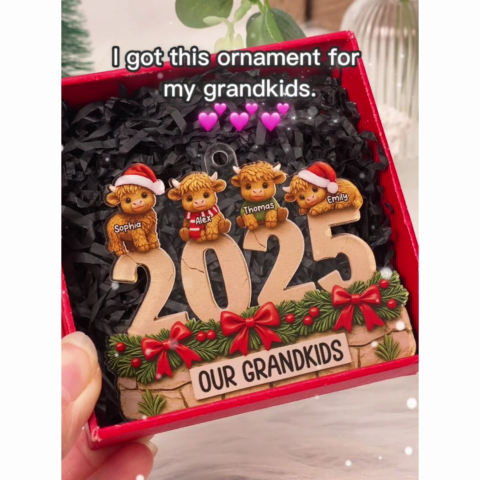 3D Effect Christmas Highland Cows Our Grandkids - Personalized Acrylic Ornament - Gift For Grandparents, Grandkids