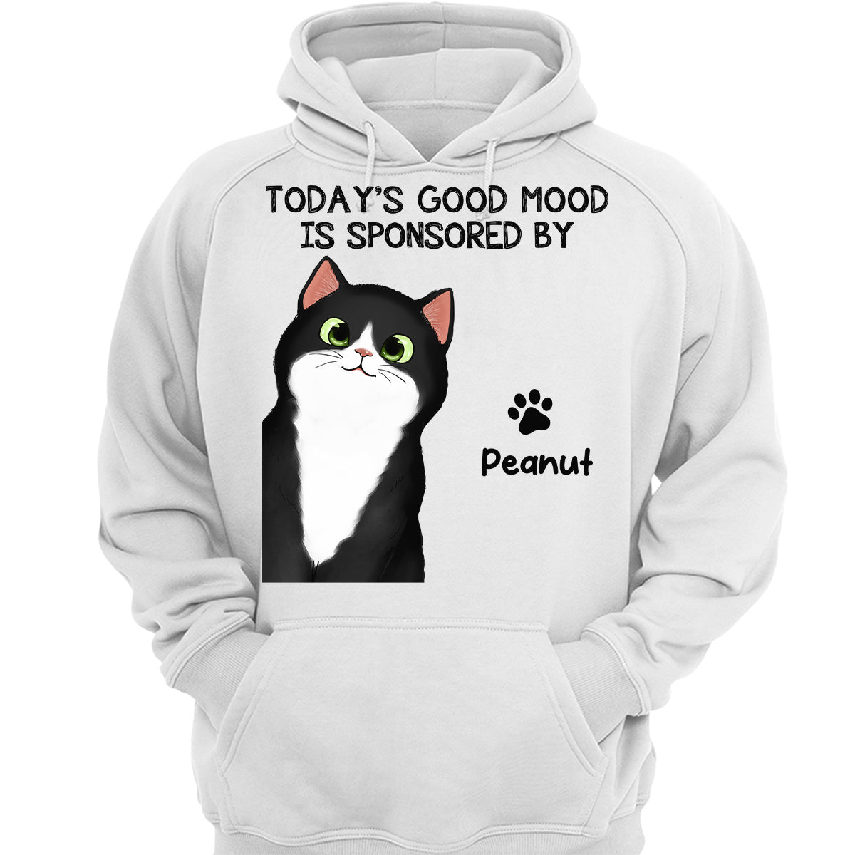 Today‘s Good Mood Is Sponsored By Fluffy Cats Personalized Shirt