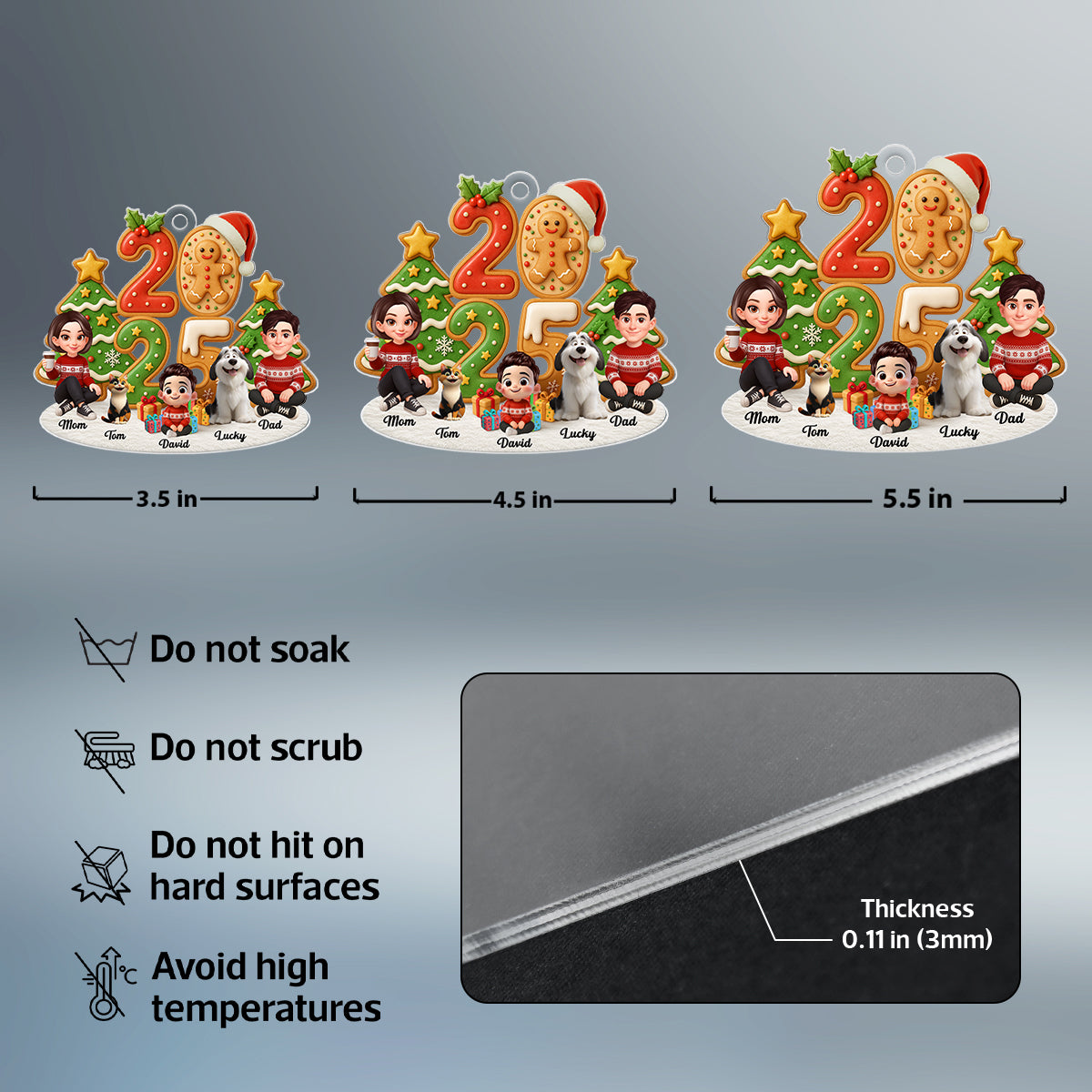 2025 Family Sitting - Personalized Acrylic Ornament - Christmas Gift for Family, for Her, for Him