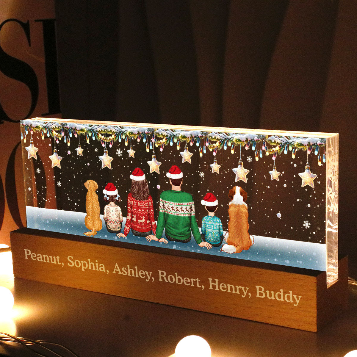 Family Dogs Cats Christmas Sitting Christmas Light Star Personalized Acrylic Block LED Night Light