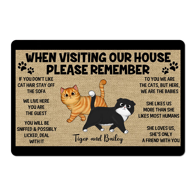 Please Remember When Visiting Cats House One Person Personalized Doormat