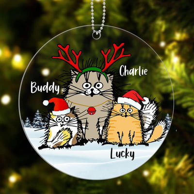 Funny Cats Personalized Christmas Acrylic Ornament