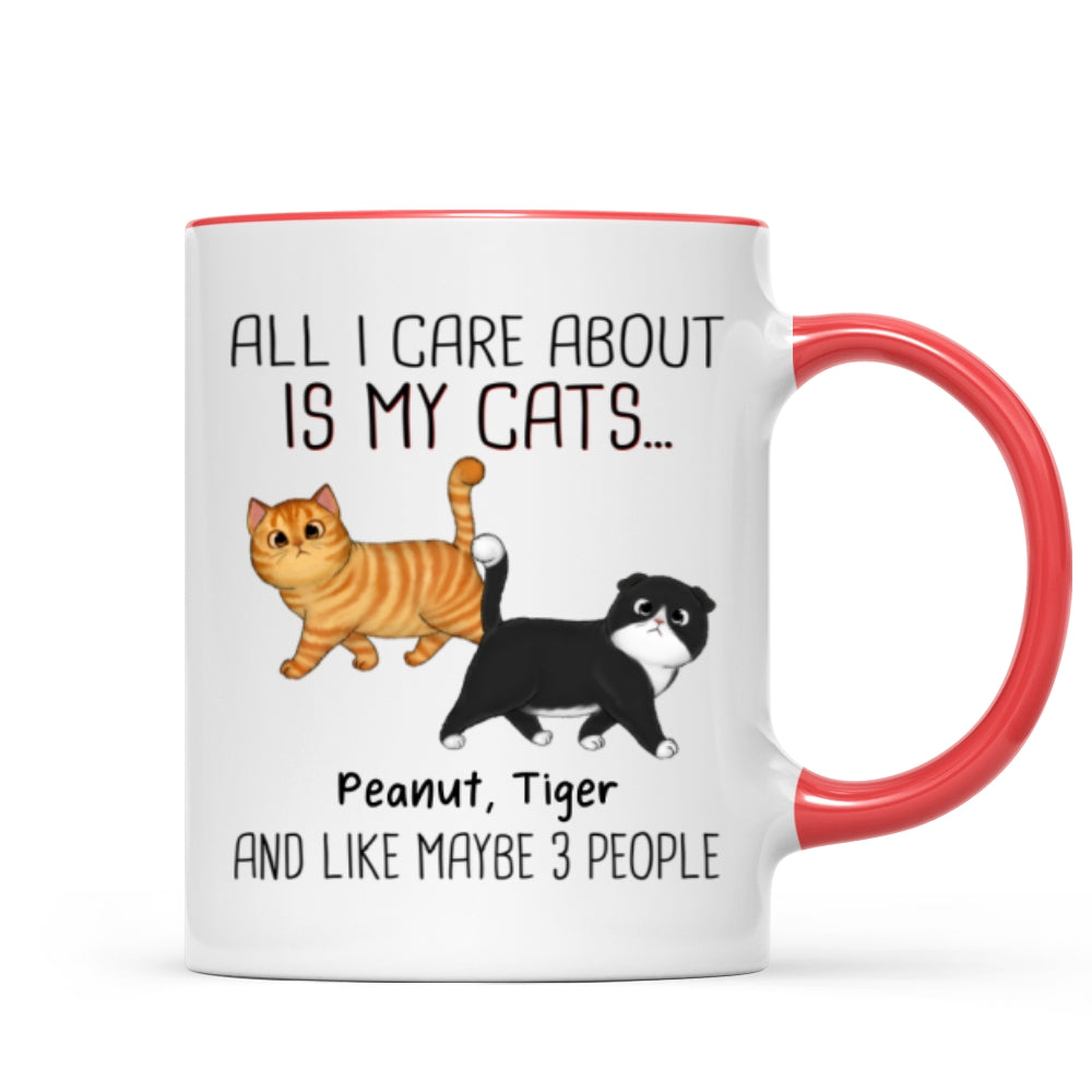 Walking Fluffy Cats Gift For Cat Lovers Personalized Mug