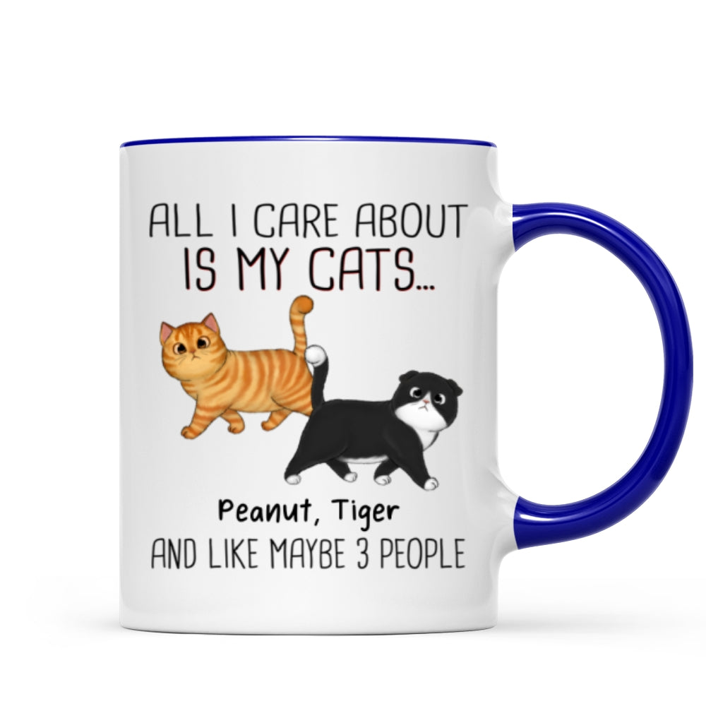 Walking Fluffy Cats Gift For Cat Lovers Personalized Mug