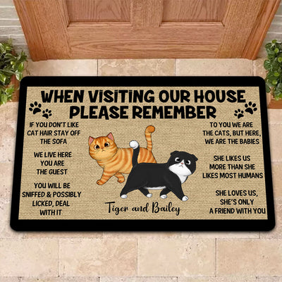 Please Remember When Visiting Cats House One Person Personalized Doormat