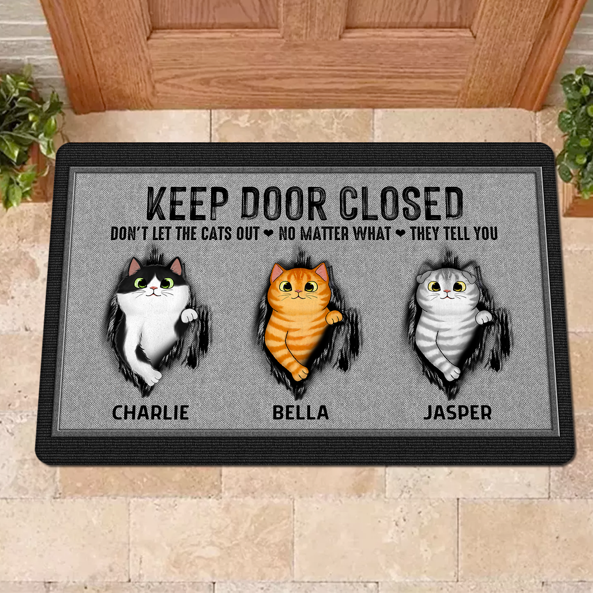 Keep Door Closed Fluffy Cat Tearing Gray Background Personalized Doormat