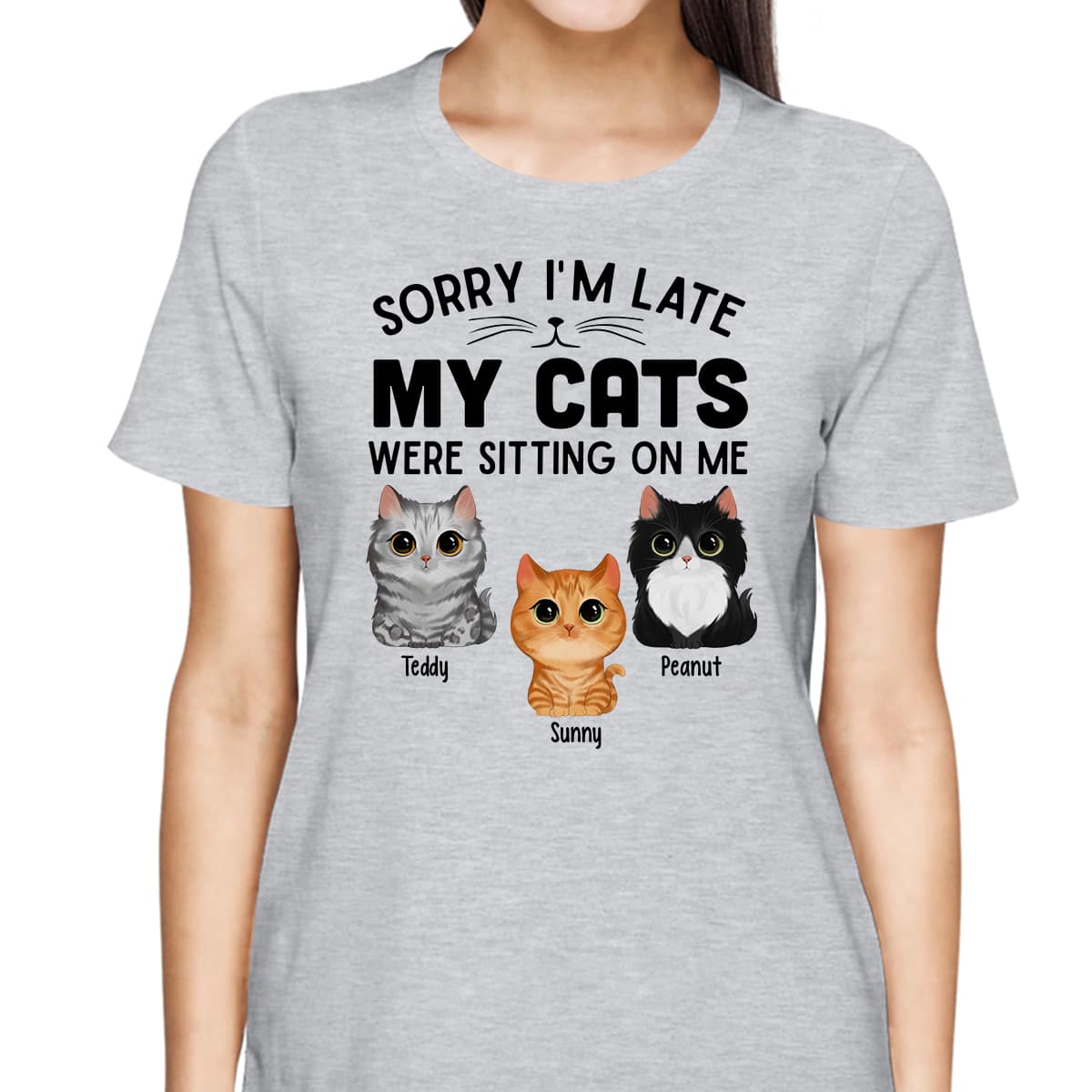Watercolor Cute Cats Sorry My Cats Sitting On Me Personalized Shirt