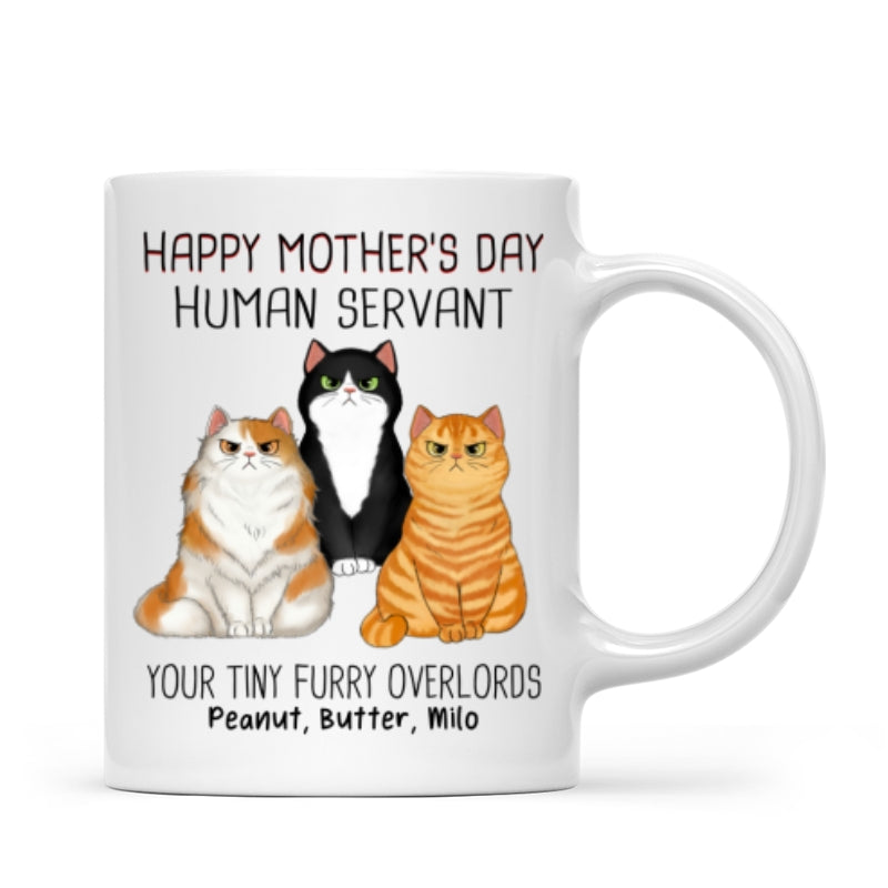 Angry Cats Happy Mother‘s Day Cat Human Servant Personalized Mug