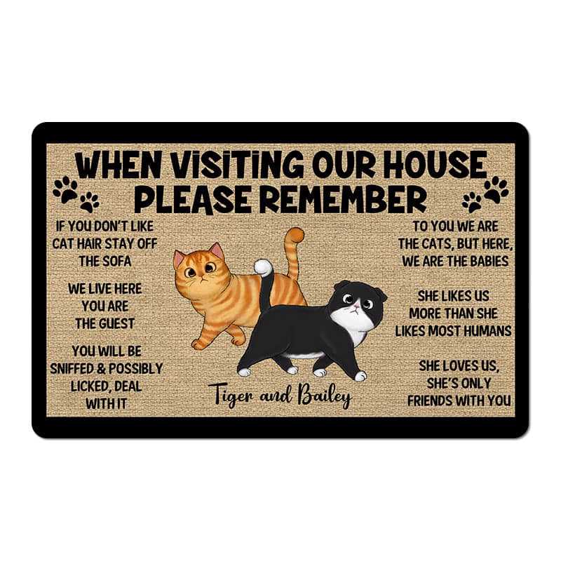 Please Remember When Visiting Cats House One Person Personalized Doormat