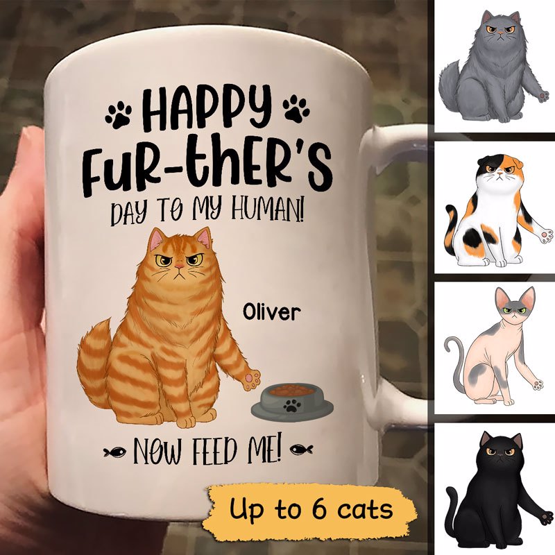 TikTok Cat Lovers Collection