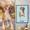 Colorful Background Pet Cartoon Portrait Dogs Cats Personalized Poster