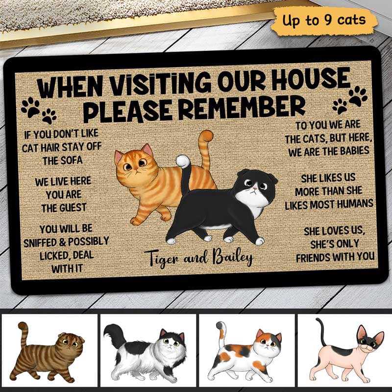 Please Remember When Visiting Cats House One Person Personalized Doormat