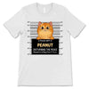 Fluffy Cat Crimes Personalized Shirt