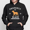 Property Of Walking Dog Gift For Dog Lover Personalized Dark Hoodie Sweatshirt