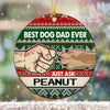 Best Dog Dad Ever Just Ask Ugly Sweater Personalized Circle Ornament