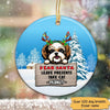 Dog Christmas Dear Santa Personalized Dog Decorative Christmas Ornament