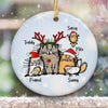 Funny Cat Snow Background Christmas Personalized Circle Ornament