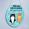 Fluffy Cats In Charge Welcome Personalized Door Hanger Sign