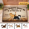 All Guests Must Be Approved By Fluffy Walking Cats Personalized Doormat