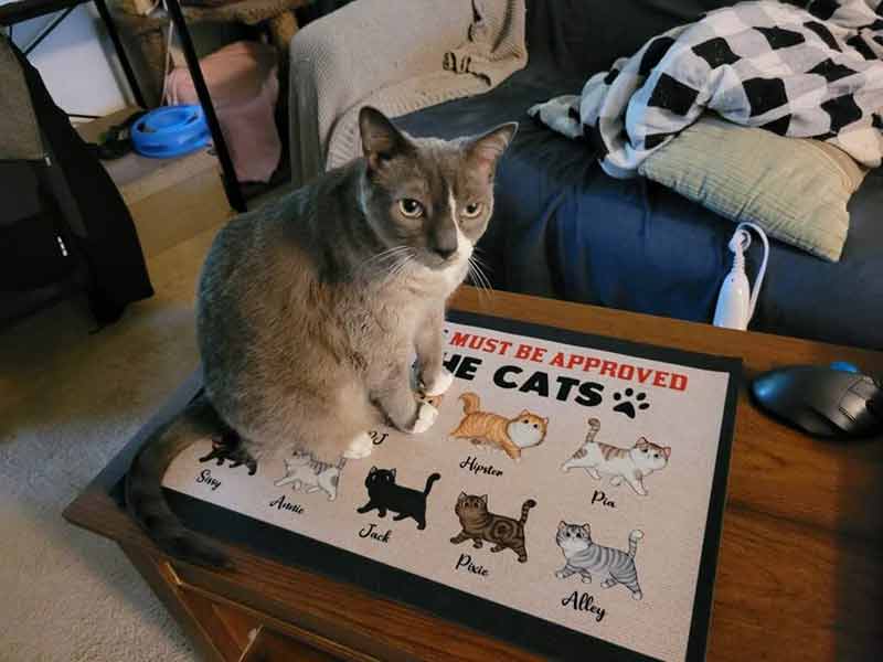 All Visitors Must Be Approved By Cats Personalized Doormat